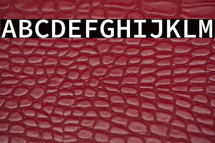 Source Code Pro Semibold Example 3