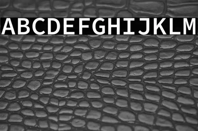 Source Code Pro Semibold Font examples