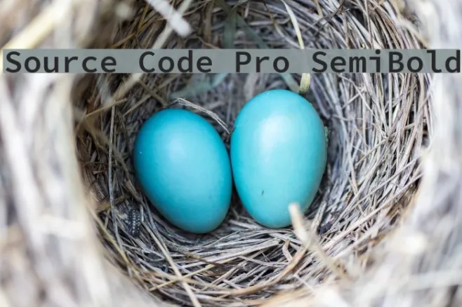 Source Code Pro SemiBold Example 1