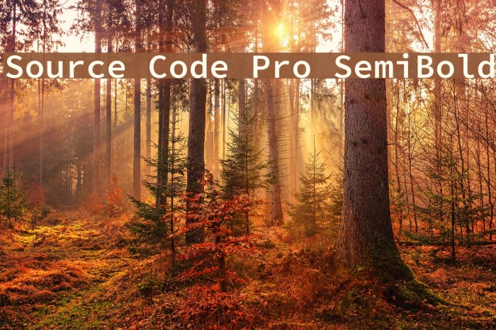 Source Code Pro SemiBold Example 2