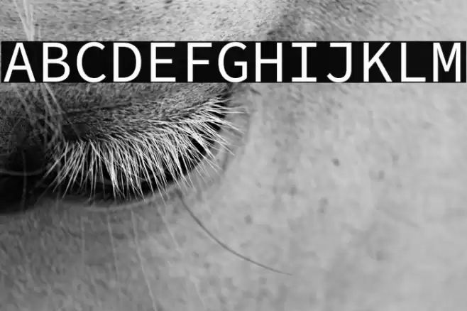 Source Code Pro Font examples