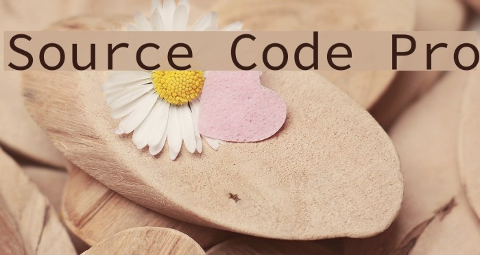 Source Code Pro Polices examples