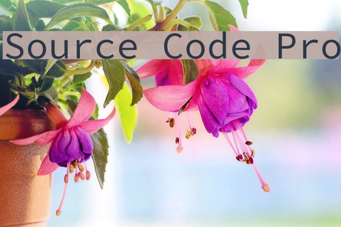 Source Code Pro Polices examples