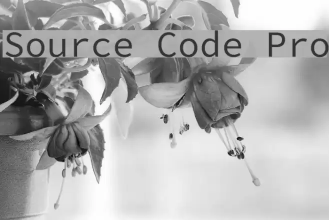 Source Code Pro Polices examples