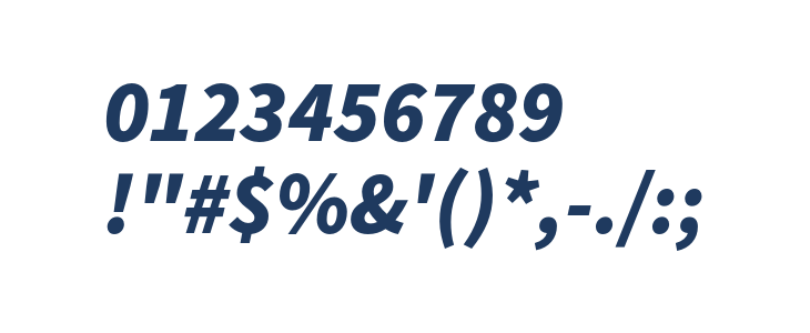 Source Sans Pro Black Italic Other Characters