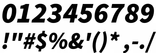 Source Sans Pro Black Italic Font OTHER CHARS