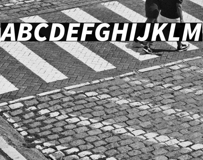 Source Sans Pro Black Italic Example 1