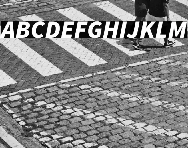 Source Sans Pro Black Italic Font examples