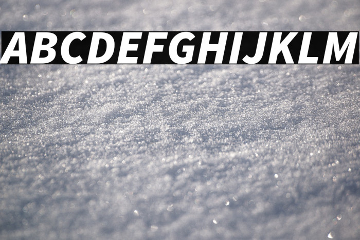 Source Sans Pro Black Italic Example 2