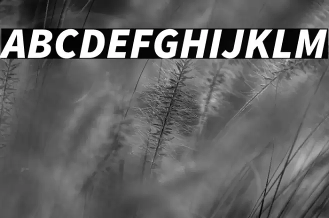 Source Sans Pro Black Italic Font examples