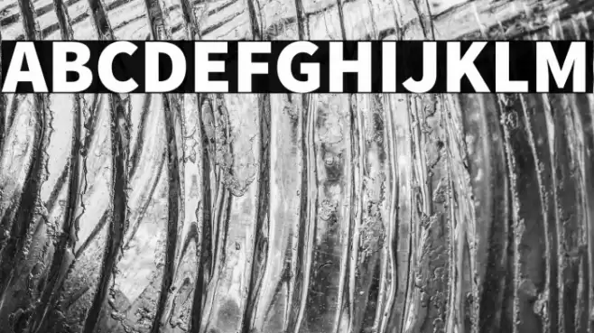 Source Sans Pro Black Font examples