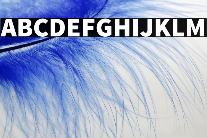 Source Sans Pro Black Example 2