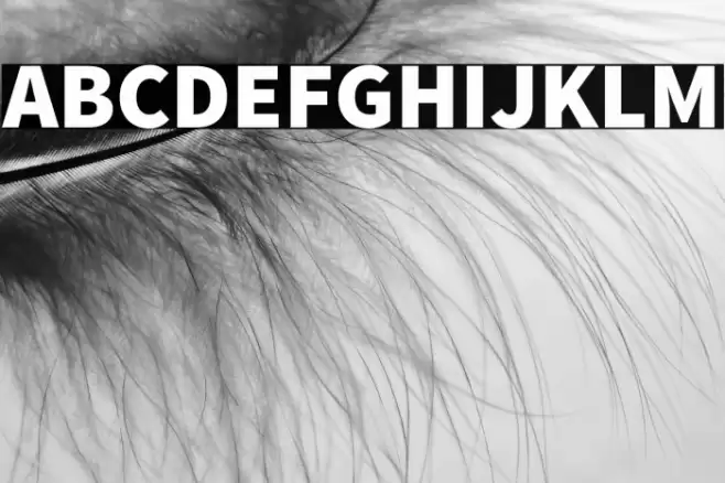 Source Sans Pro Black Font examples