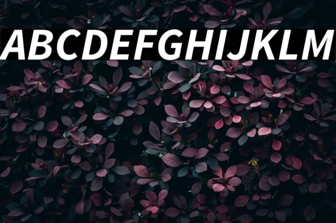 Source Sans Pro Bold Italic Example 2