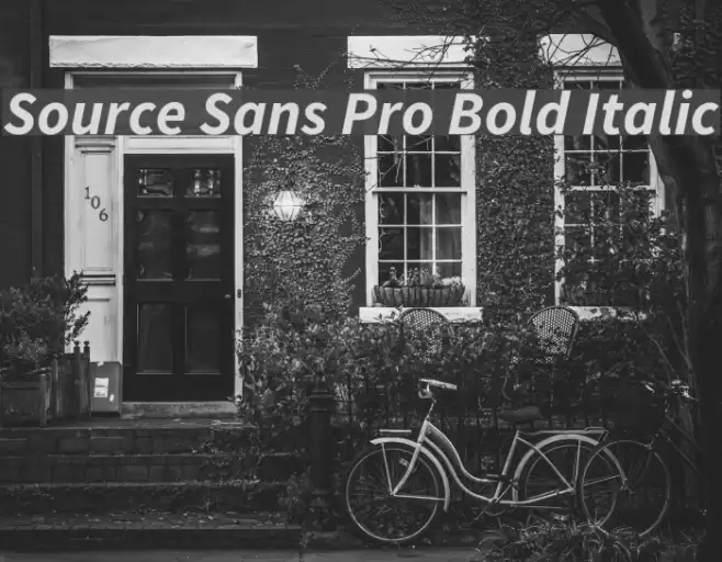 Source Sans Pro Bold Italic Font examples