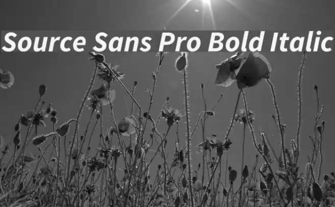 Source Sans Pro Bold Italic Font examples