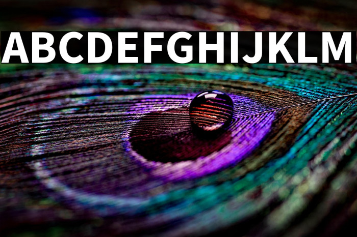 Source Sans Pro Bold Example 3