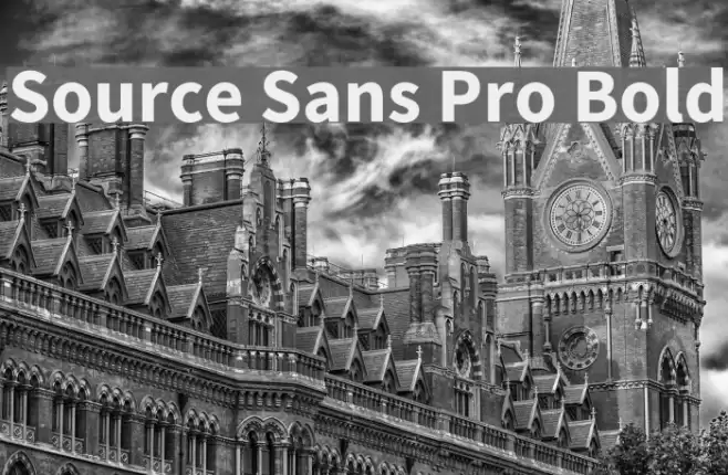 Source Sans Pro Bold Font examples