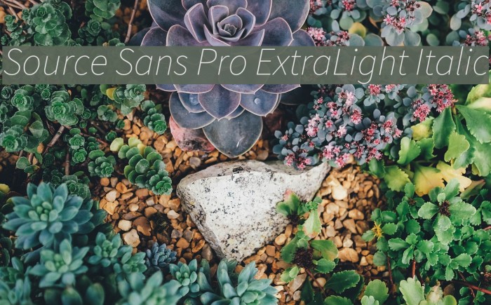 Source Sans Pro ExtraLight Italic Font examples
