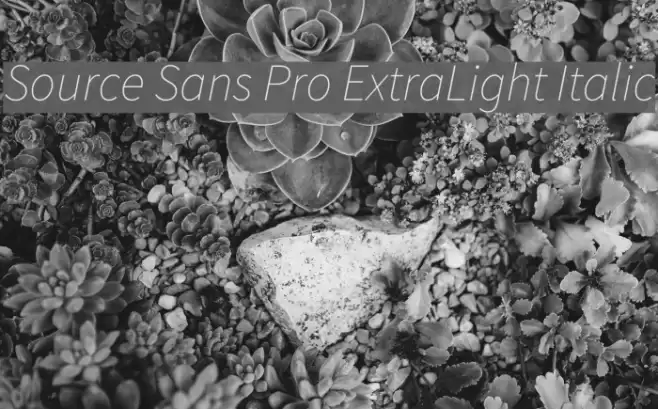 Source Sans Pro ExtraLight Italic Font examples