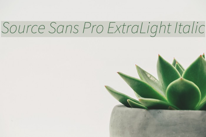 Source Sans Pro ExtraLight Italic Font examples