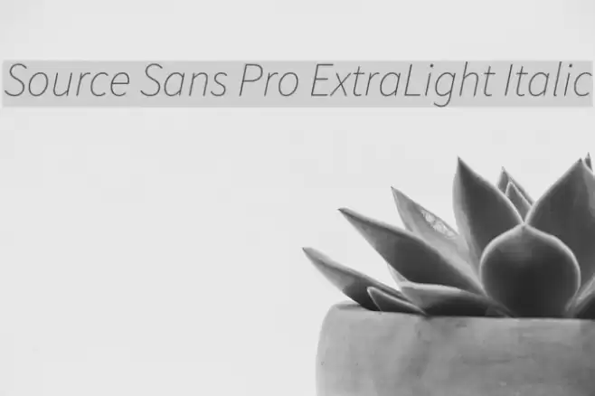 Source Sans Pro ExtraLight Italic Font examples