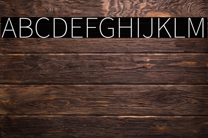 Source Sans Pro ExtraLight Example 3