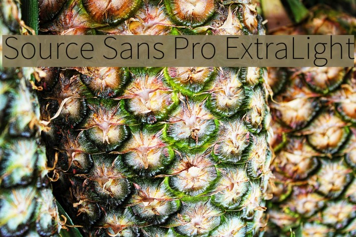 Source Sans Pro ExtraLight Font examples