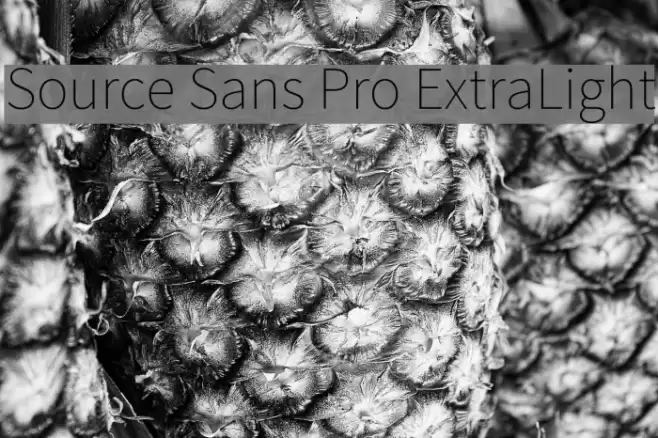 Source Sans Pro ExtraLight Font examples