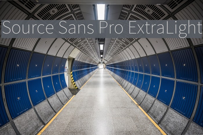 Source Sans Pro ExtraLight Font examples