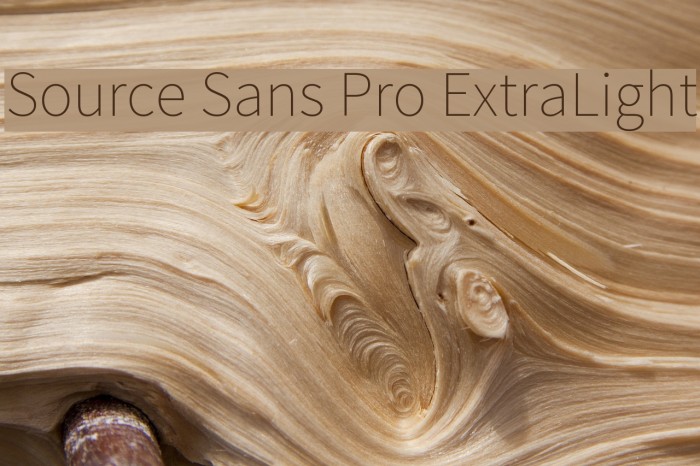 Source Sans Pro ExtraLight Font examples