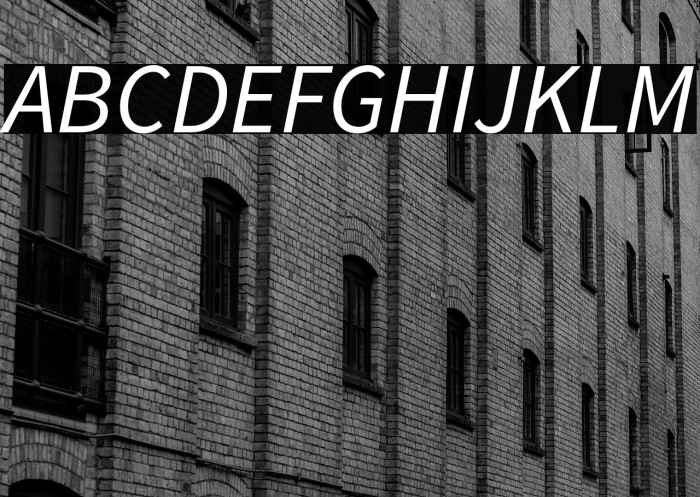 Source Sans Pro Italic Example 1