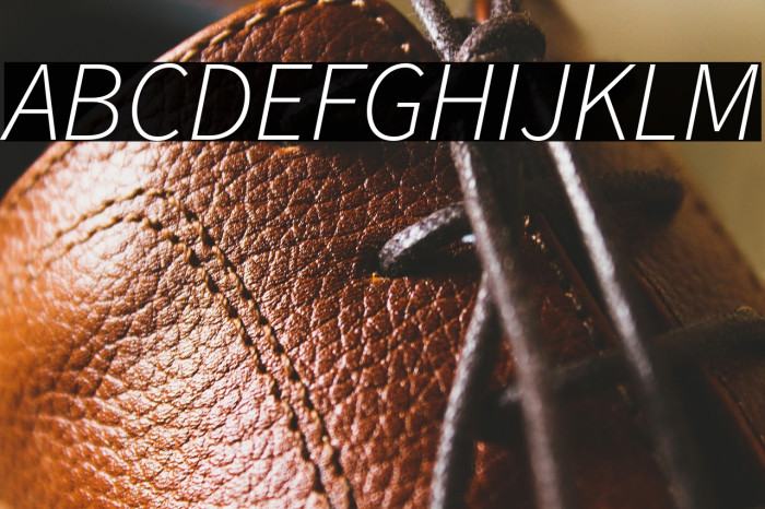 Source Sans Pro Light Italic Example 2