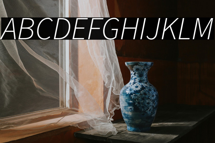 Source Sans Pro Light Italic Example 3