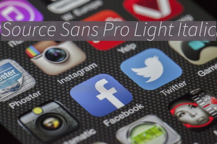 Source Sans Pro Light Italic Font examples