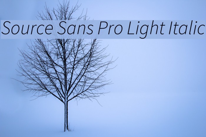 Source Sans Pro Light Italic Font examples