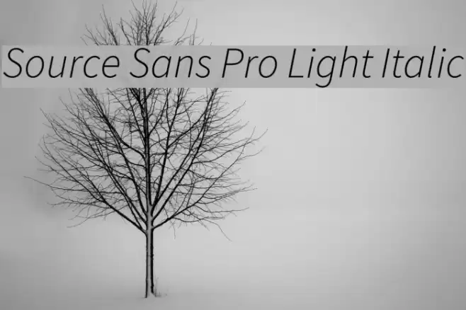 Source Sans Pro Light Italic examples