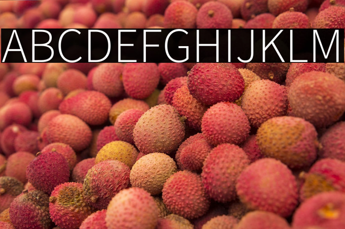 Source Sans Pro Light Example 2