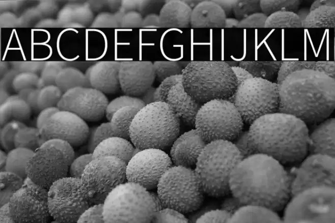 Source Sans Pro Light Font examples