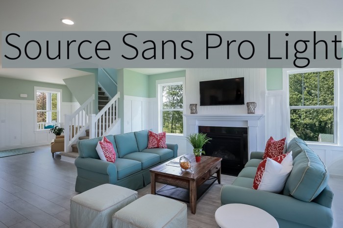 Source Sans Pro Light Font examples