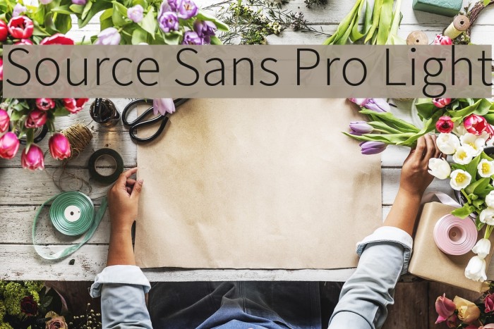 Source Sans Pro Light Font examples