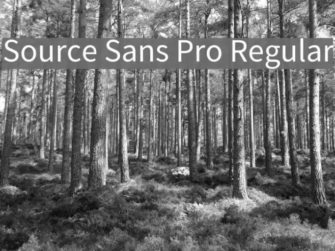 Source Sans Pro Regular Font examples
