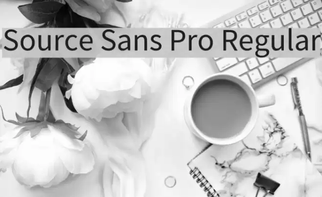 Source Sans Pro Regular Font examples
