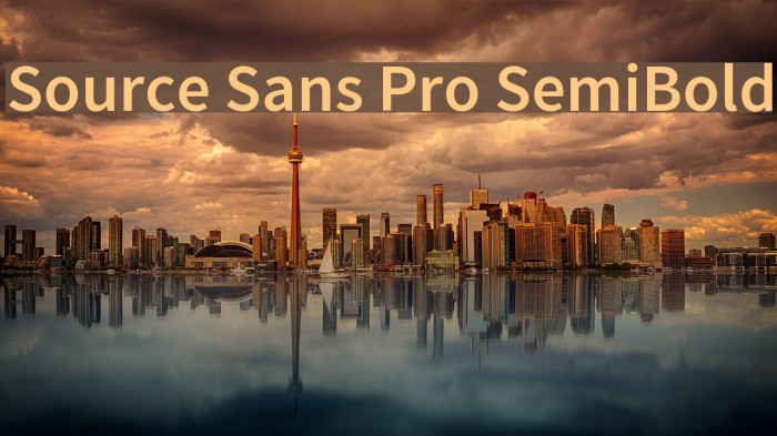 Source Sans Pro SemiBold Example 1