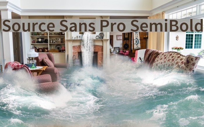 Source Sans Pro SemiBold Example 2