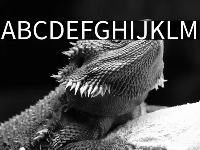 Source Sans Pro Font examples