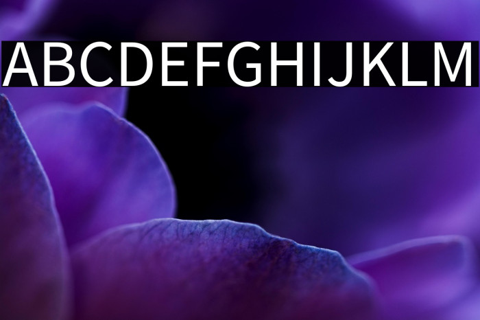 Source Sans Pro Example 2