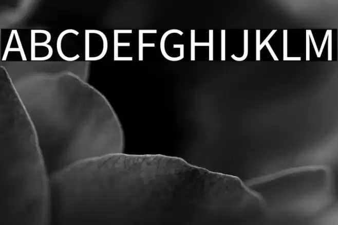 Source Sans Pro Font examples