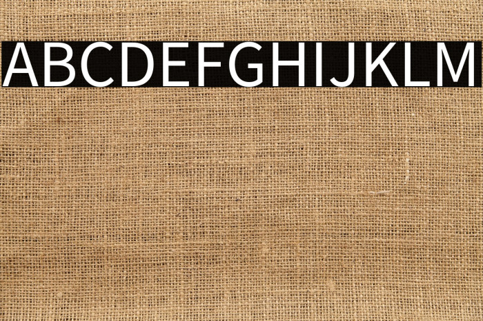 Source Sans Pro Example 3