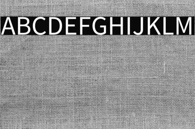 Source Sans Pro Font examples